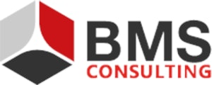 BMS Consulting GmbH Logo