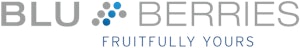 BLUBERRIES GmbH Logo