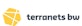 terranets bw GmbH Logo