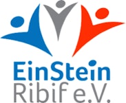 Ein Stein Bildungsforum Logo
