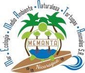 MEMANTA Logo