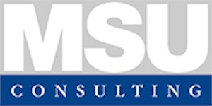 MSU Consulting GmbH Logo