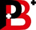 P+B GmbH & Co.KG Logo