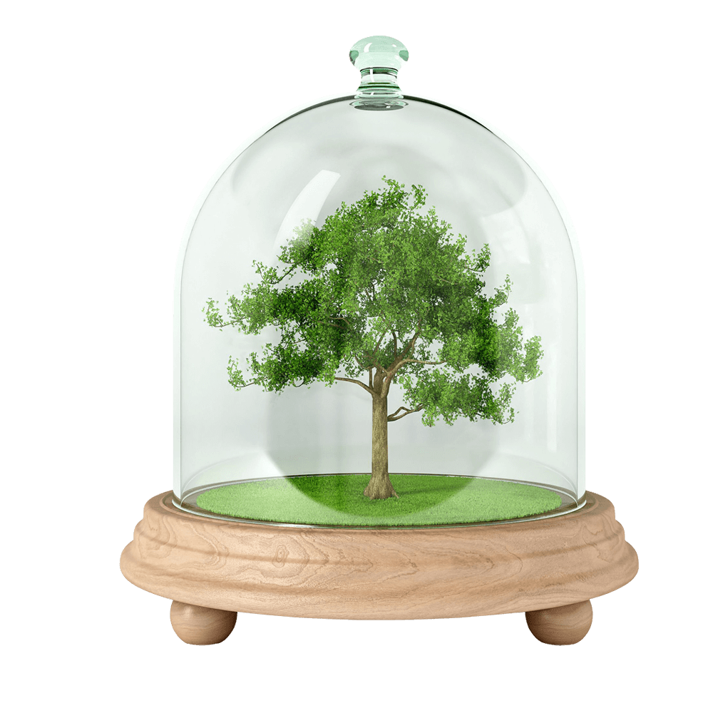 Duales Studium Landschaftsbau Und Management Azubi De