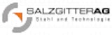 Salzgitter Aktiengesellschaft Logo