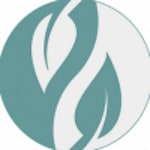 Salufast GmbH Logo