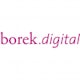 borek.digital Logo