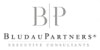 BludauPartners Executive Consultants GmbH Logo