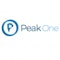 Peak One GmbH Logo
