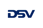 DSV Logo