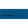 QUARTERBACK Immobilien AG Logo