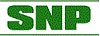 SNP Handels- und Beteiligungsgesellschaft mbh Logo