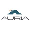 Auria Solutions GmbH Logo