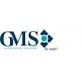Global Market Solutions GmbH Logo