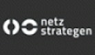 netzstrategen GmbH Logo