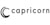 capricorn Group Logo