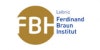 Ferdinand-Braun-Institut Logo