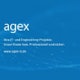 agex IT Logo