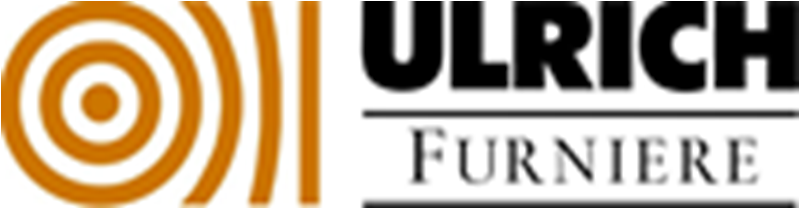 R. Ulrich & Co. GmbH Logo