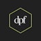 DPF Group Logo