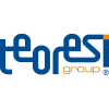 Teoresi Group Logo