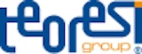Teoresi Group Logo