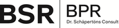 BPR Dr. Schäpertöns Consult GmbH & Co. KG Logo