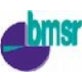 bau msr GmbH Logo