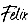 Team Felix Logo