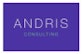 Andris Consulting GmbH Logo