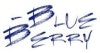 Blue-Berry GmbH Logo