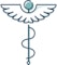 Rudolf Virchow Klinikum Glauchau Logo