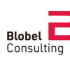 Blobel Consulting Logo