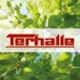Terhalle Holding GmbH Logo