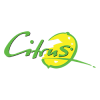 cs communication systems GmbH Logo