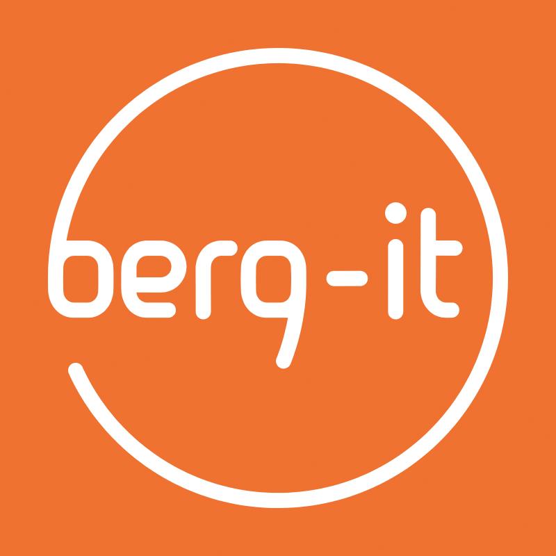 berg-it Projektdienstleistungen GmbH Logo