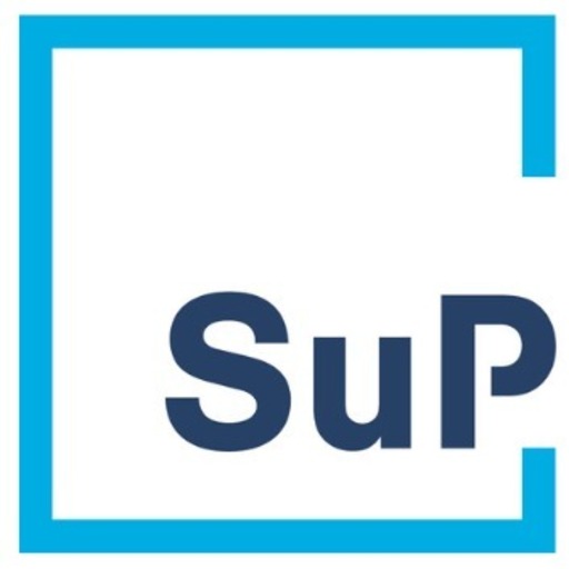 Dr. Schmidt und Partner (Job via XING.com) Logo