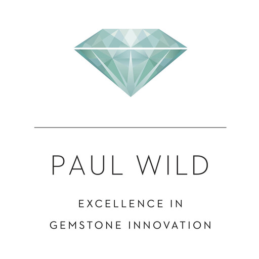 Paul Wild GmbH & Co. KG Logo