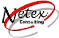 Netex Consulting Logo