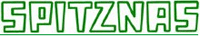 SPITZNAS Maschinenfabrik GmbH Logo