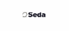 SEDA GERMANY GmbH Logo