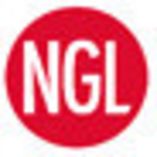 NGL Navigator Global Logistics GmbH Logo