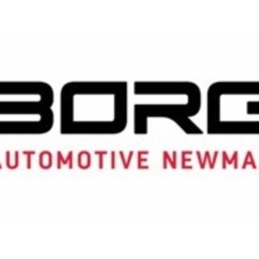 BORG Automotive GmbH (Job via XING.com) Logo