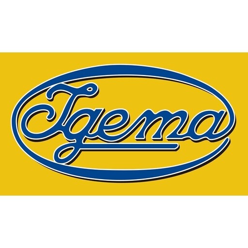 IGEMA GmbH (Job via XING.com) Logo