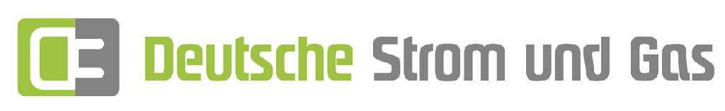 DSG Deutsche Strom und Gas GmbH Logo
