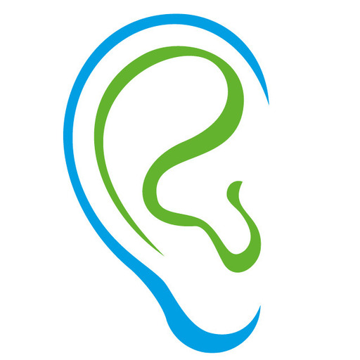 Die Akustikerin Diana Elsner Logo