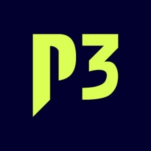 P3 group GmbH (Job via XING.com) Logo