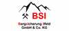 Bergsicherung Ilfeld GmbH Logo