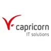 Capricorn Consulting GmbH Logo