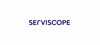 Serviscope AG (Job via XING.com) Logo
